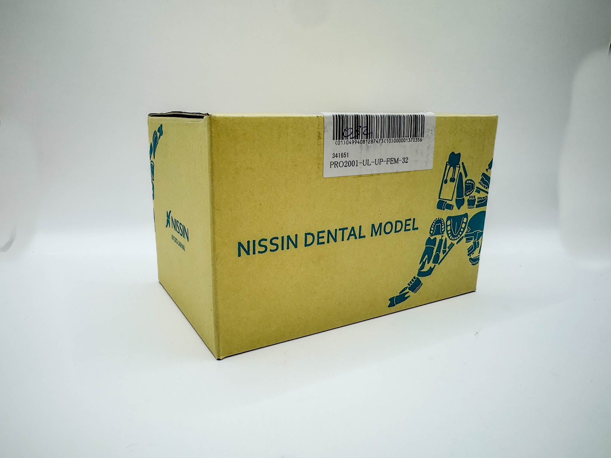 Tipodonto Nissin 32 dientes adulto (original)