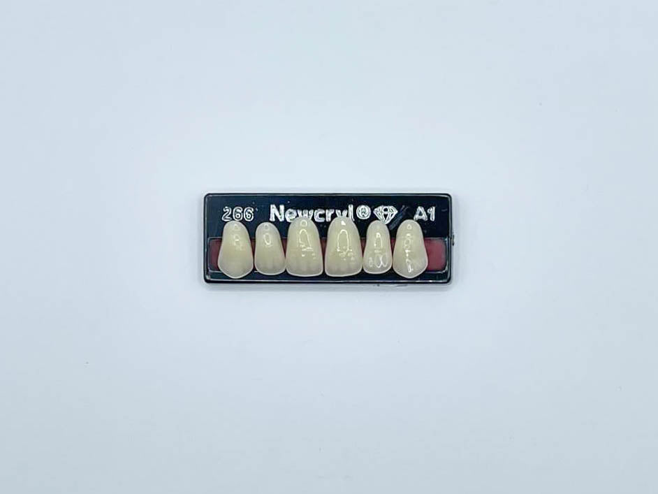 Dientes newcryl x 6 sa 266 col a1