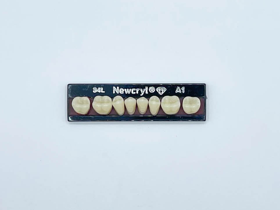 Dientes newcryl x 8 ip 34l col a1