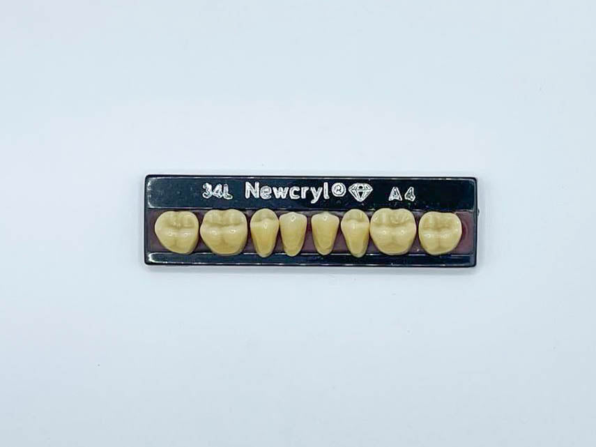 Dientes newcryl x 8 ip 34l col a4