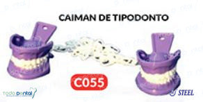 Caiman o porta toalla de tipodonto (clip dental)