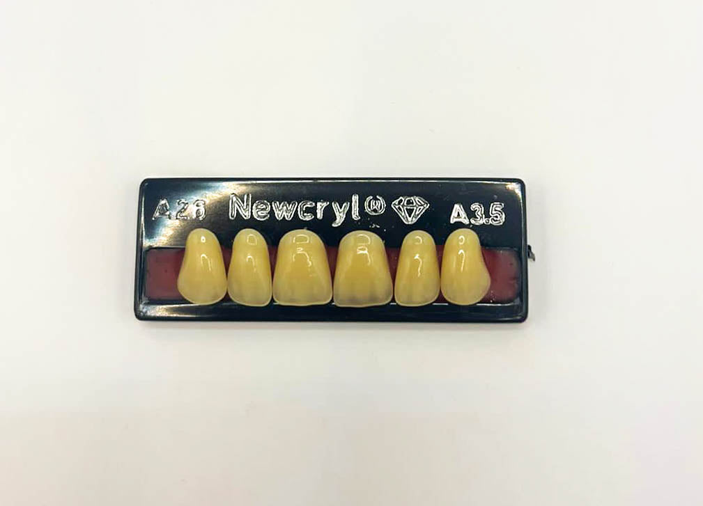 Dientes newcryl x 6 sa a26 col a3.5