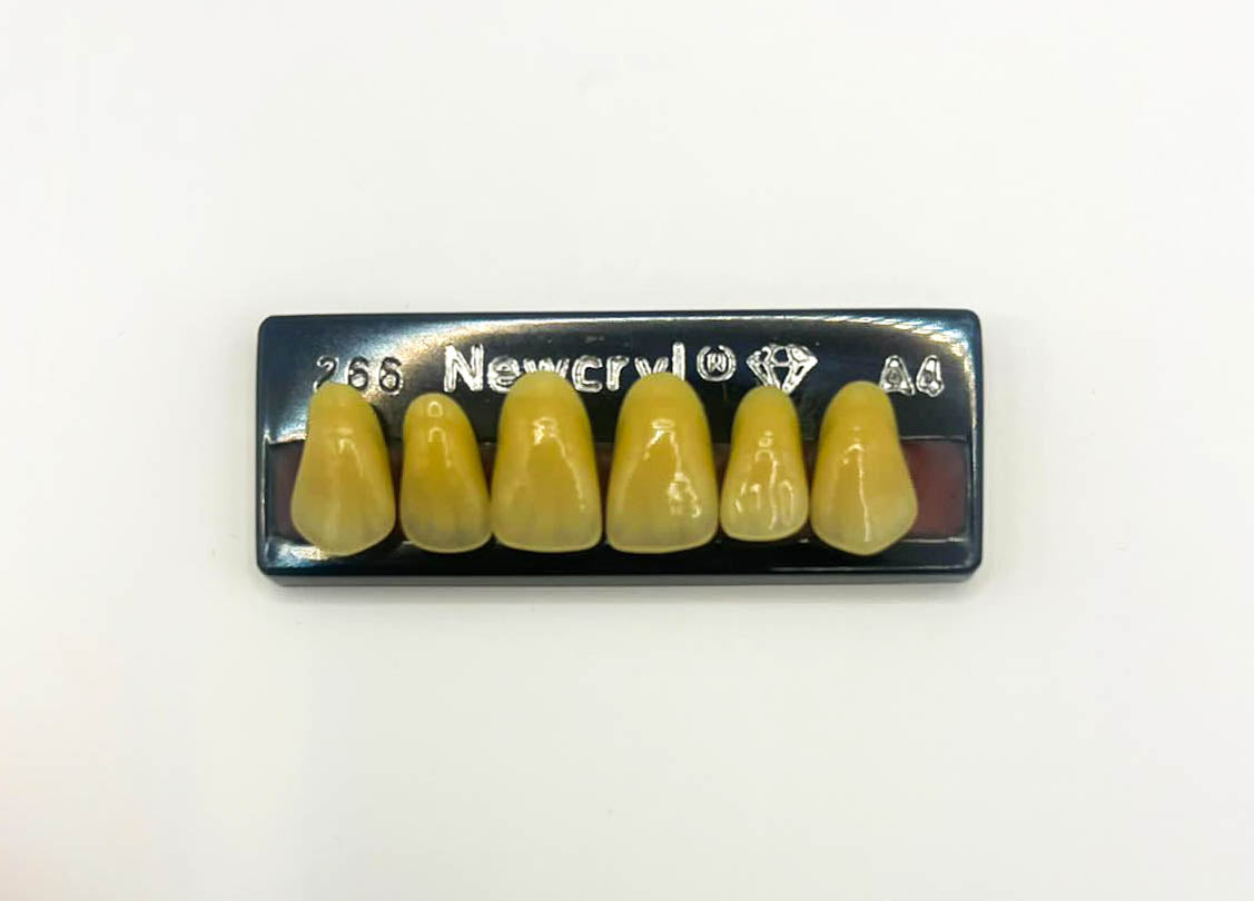 Dientes newcryl x 6 sa 266 col a4