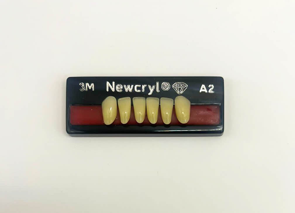 Dientes newcryl x 6 ia 3m col a2