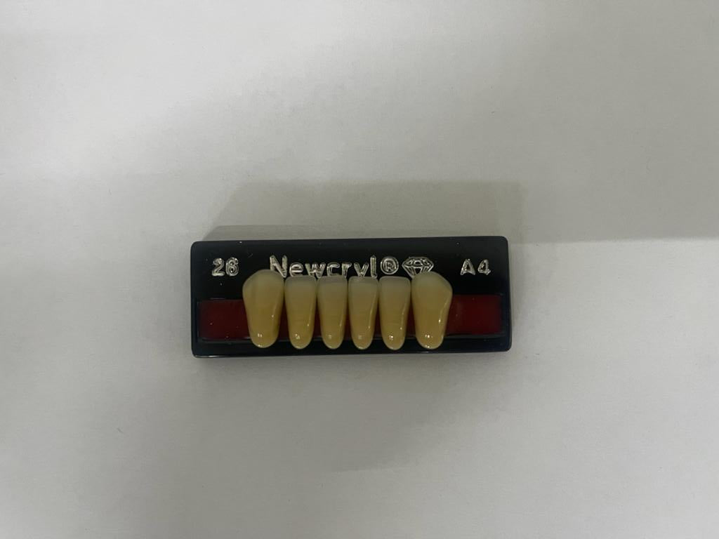 Dientes newcryl x 6 ia 26 col a4