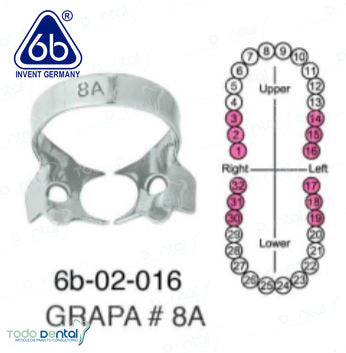 Grapa p/ dique de hule 6B Invent