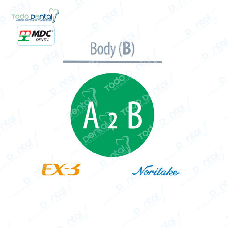 Ex-3 Noritake(Body, Enamel, Opacius body)