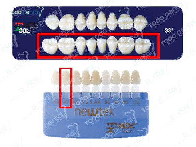 Diente new tek posterior inferior